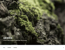 Tablet Screenshot of genox.ch